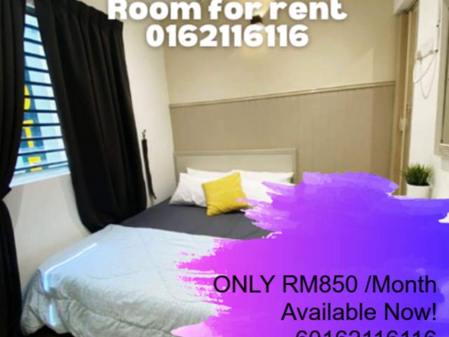 Room for rent in Petaling, Damansara Damai