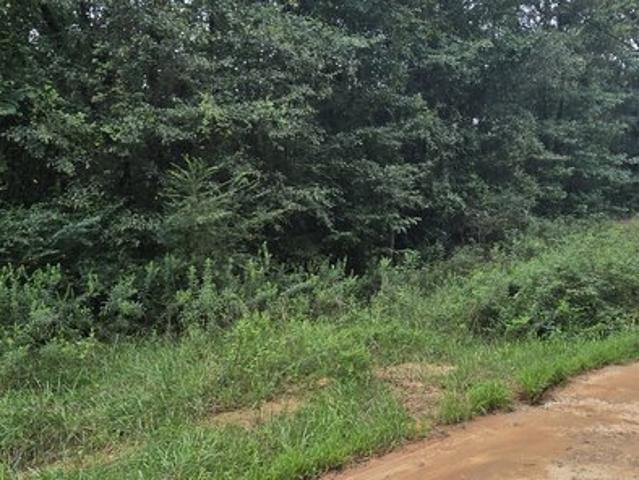 Land for sale in Elbert, Georgia