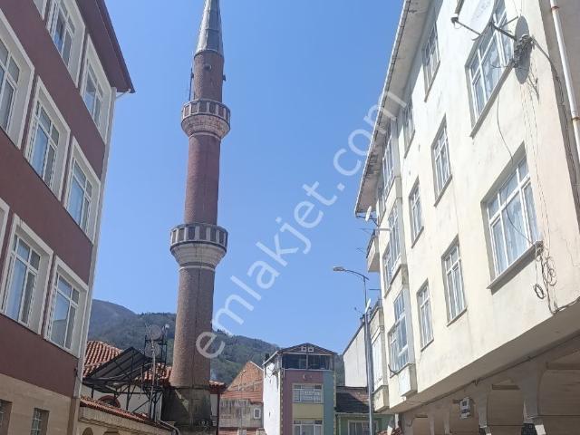 Bozkurt, Kastamonu içerisinde satılık mülk