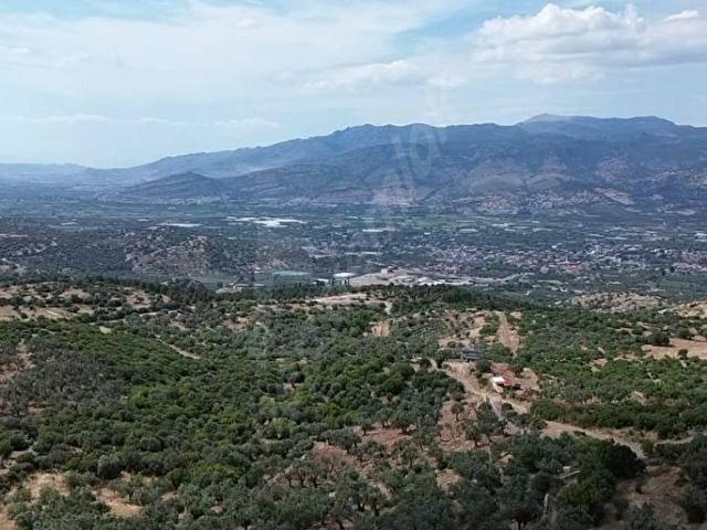 Menemen, İzmir içerisinde satılık mülk