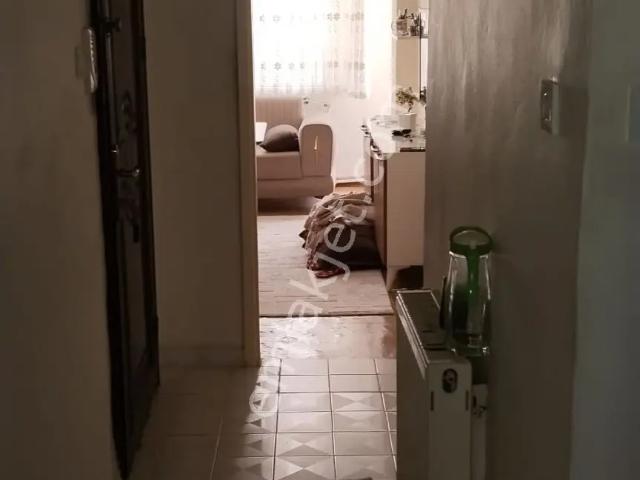 Ambarlar, Zeytinburnu içerisinde satılık mülk