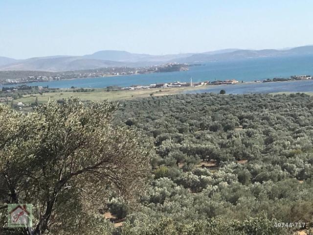 Bergama, İzmir içerisinde satılık Arsa