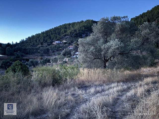 Milas, Muğla içerisinde satılık Arsa