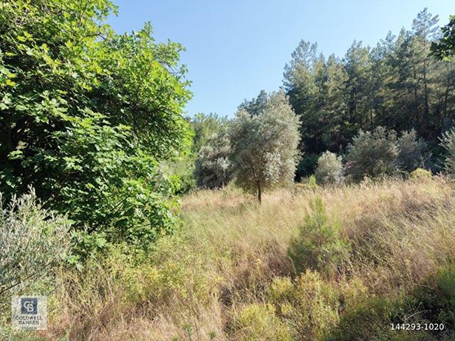 Muğla içerisinde satılık Arsa