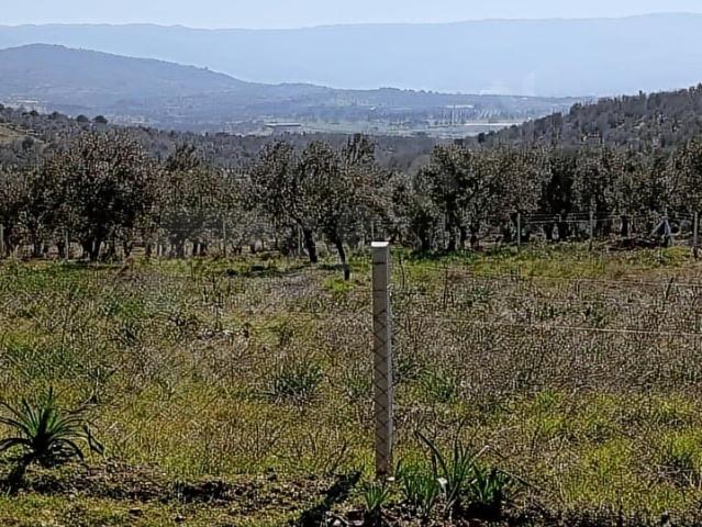 Burhaniye, Balikesir içerisinde satılık mülk