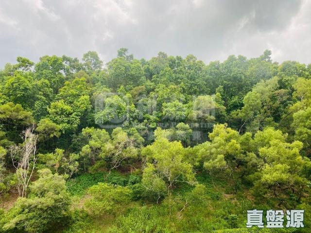 提供 出售 的物件。