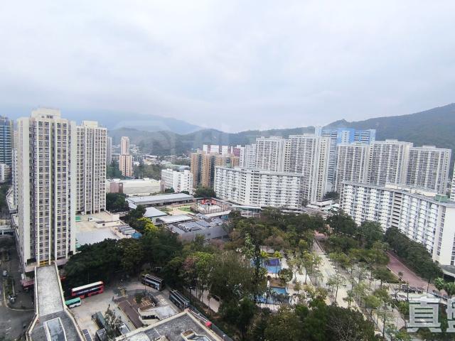 提供 出租 的物件。