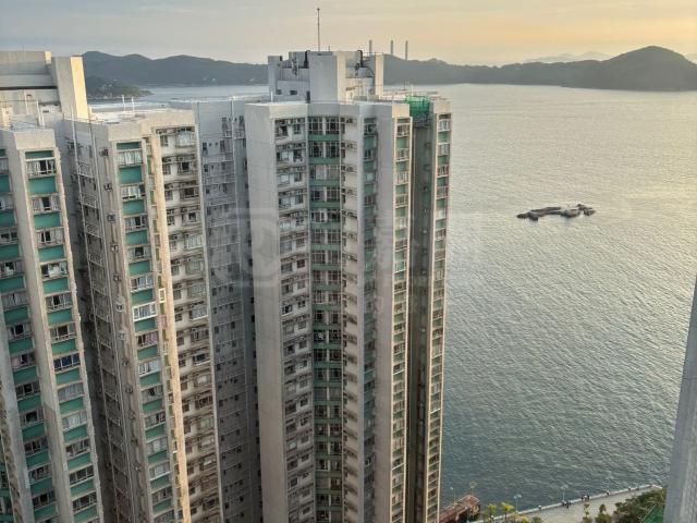 提供 出售 的物件。