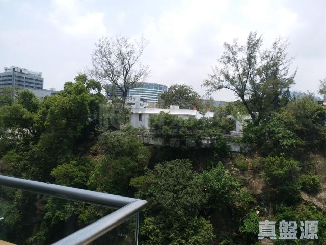 提供 出售 的物件。