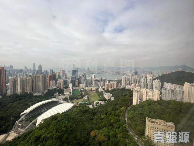 提供 出租 的物件。