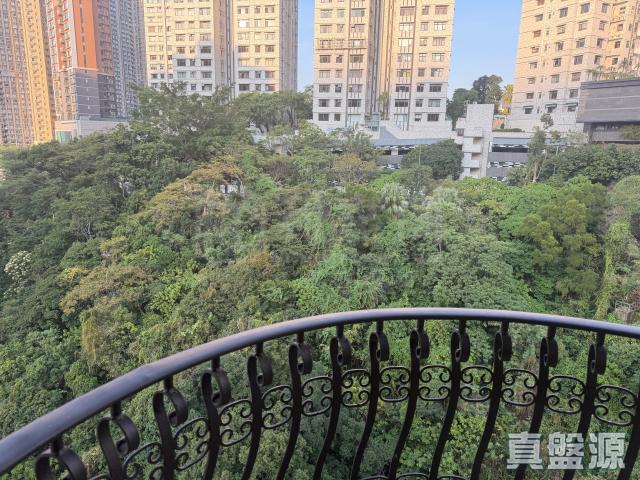 提供 出售 的物件。