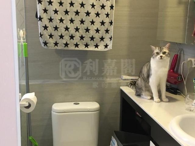 提供 出售 的物件。