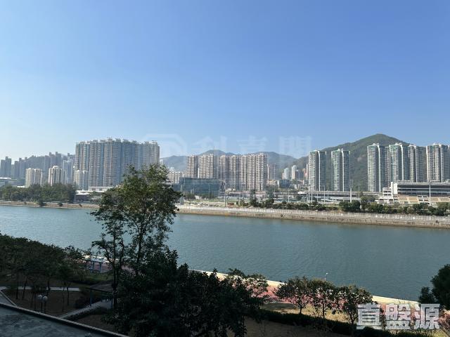 提供 出售 的物件。