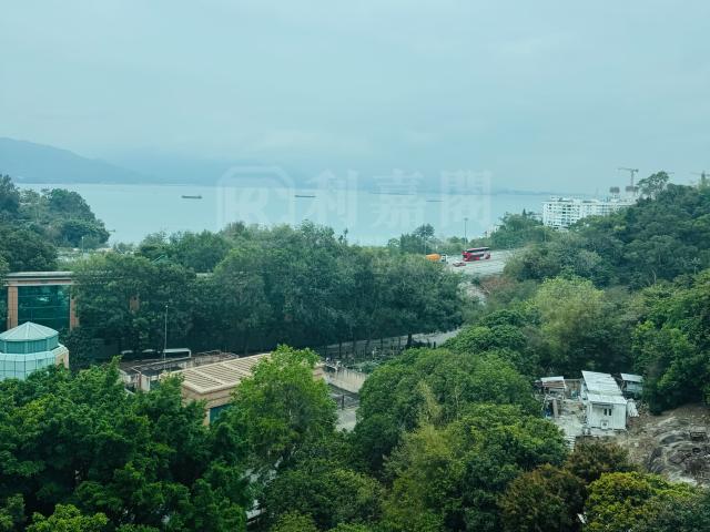 提供 出售 的物件。