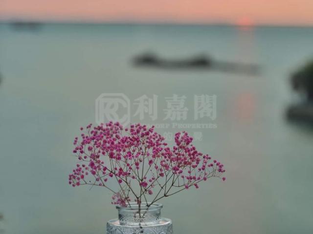 提供 出售 的物件。