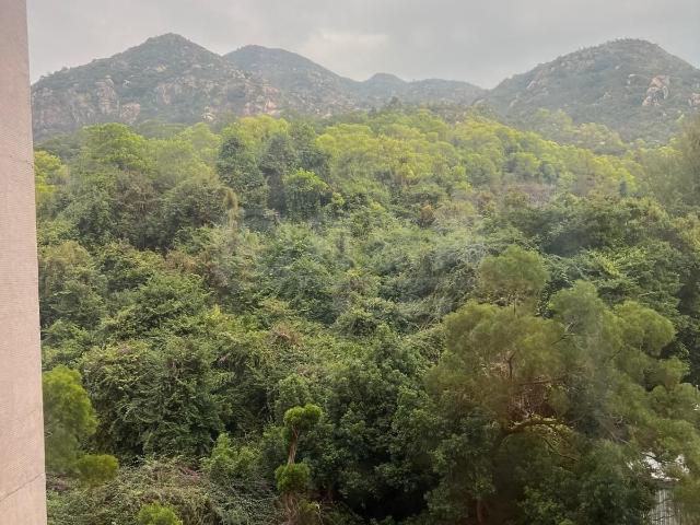 提供 出租 的物件。