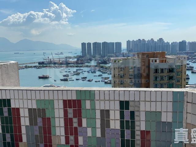 提供 出租 的物件。