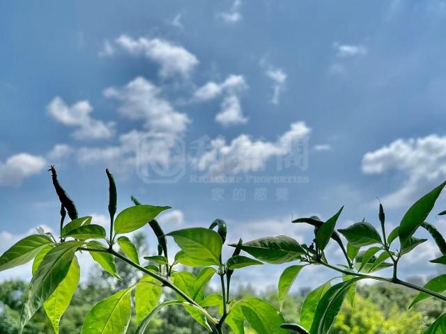 提供 出售 的物件。