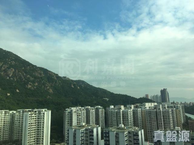 提供 出售 的物件。