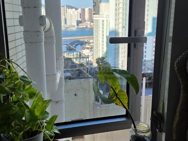 提供 出售 的物件。