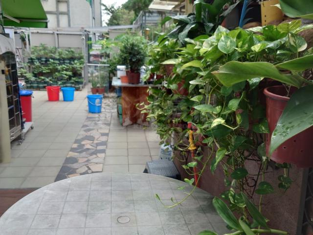 提供 出售 的物件。