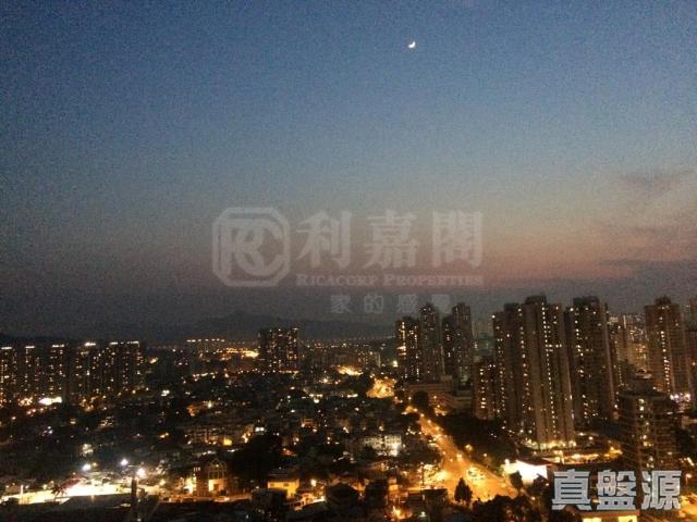 提供 出租 的物件。