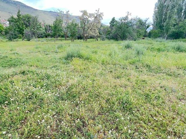 Develi, Kayseri içerisinde satılık mülk
