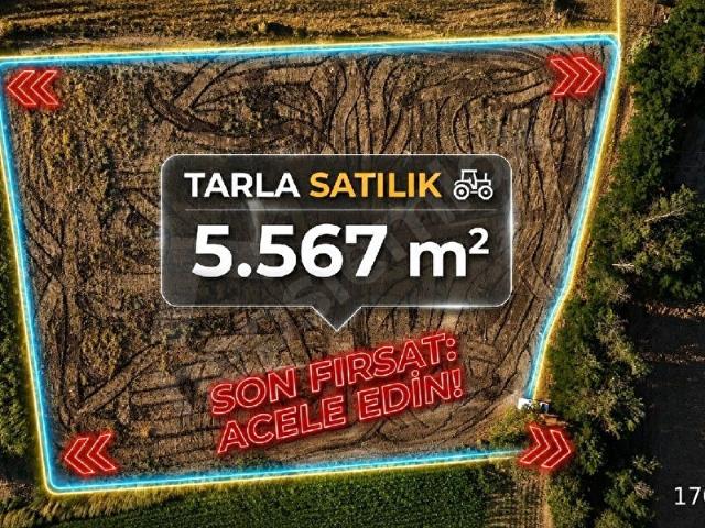 Tire, İzmir içerisinde satılık Arsa