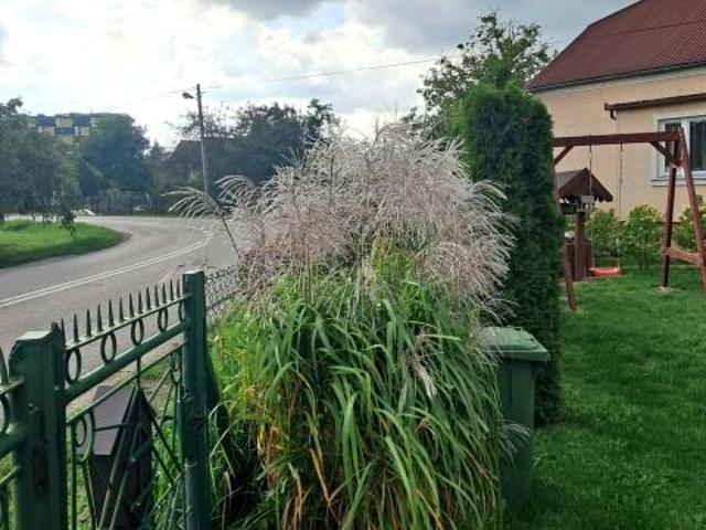 Dom na sprzedaż w Rzeszów, Podkarpackie