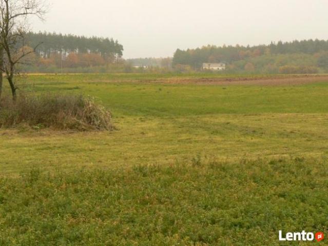 Grunt na sprzedaż w Dąbrowa Chełmińska, powiat bydgoski