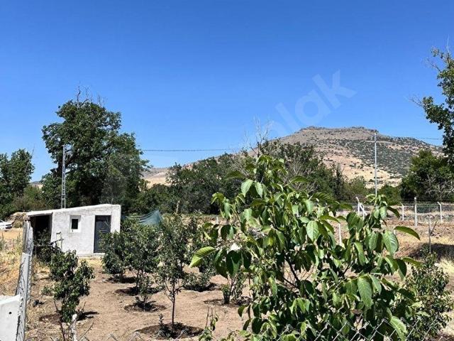 Develi, Kayseri içerisinde satılık mülk