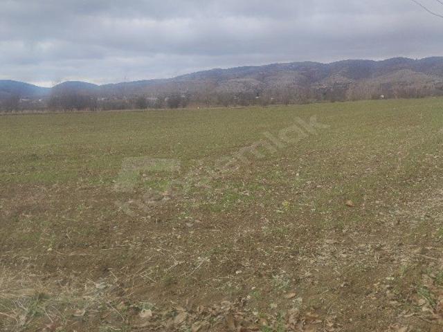 Zile içerisinde satılık Arsa