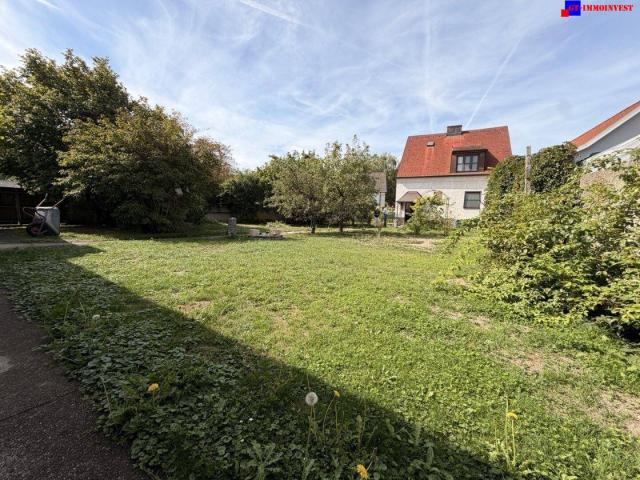 Haus kaufen in Zillingdorf-Bergwerk, Zillingdorf