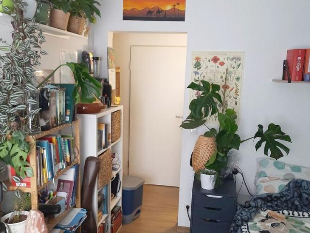 Apartment mieten in Mauritz-Ost, Munster