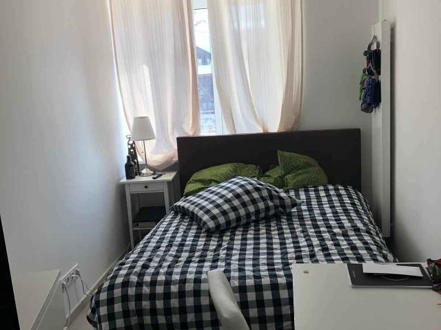 Zimmer mieten in Untergiesing-Harlaching, München