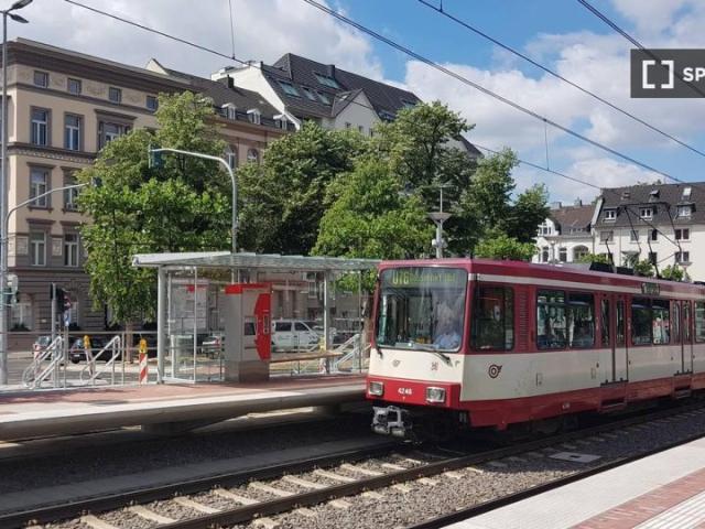 Zimmer mieten in Oberkassel, Düsseldorf