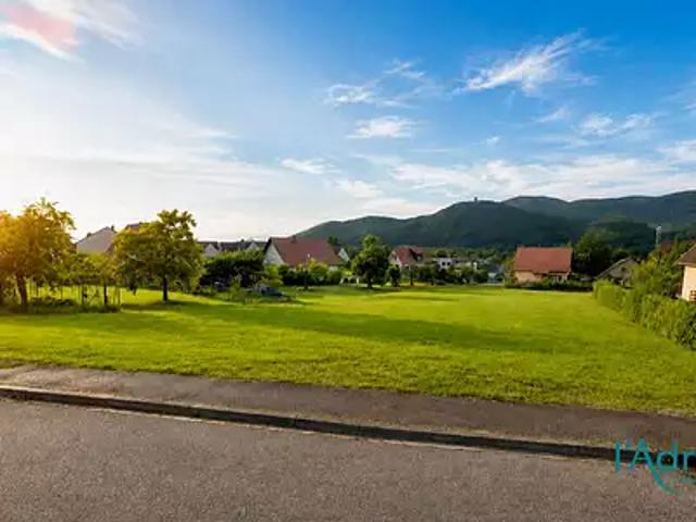 Terrain vente à Zimmerbach, Collectivité européenne d'Alsace