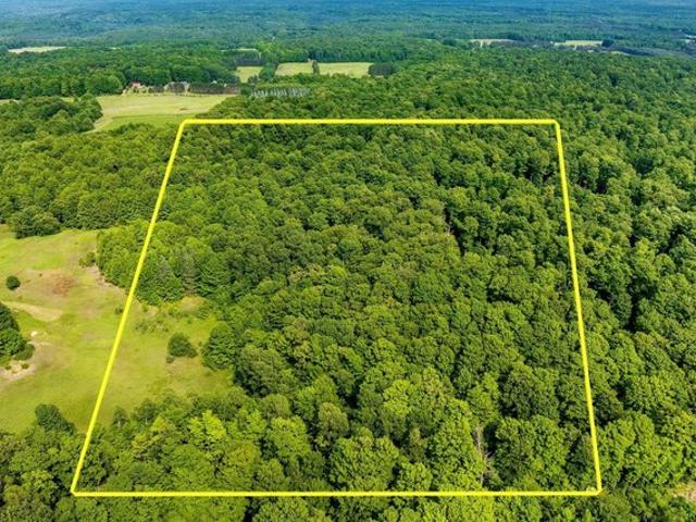 Land for sale in Beulah, Michigan
