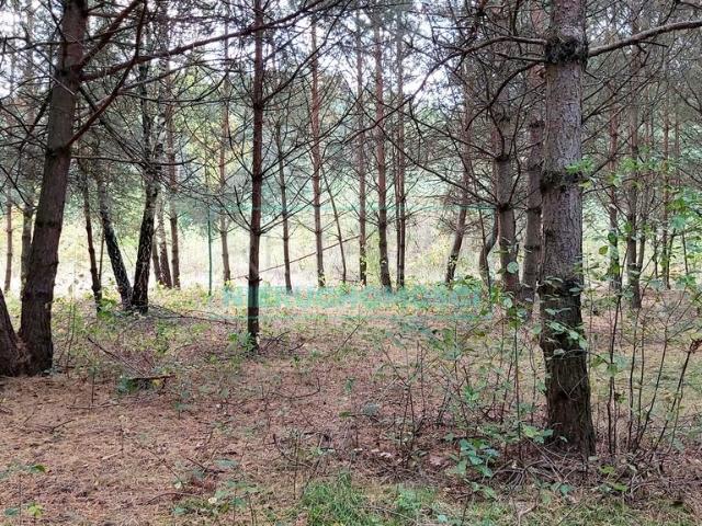 Grunt na sprzedaż w Mszczonów, Mazowieckie