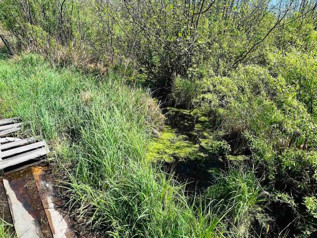 Property for sale in Rib Lake, Wisconsin