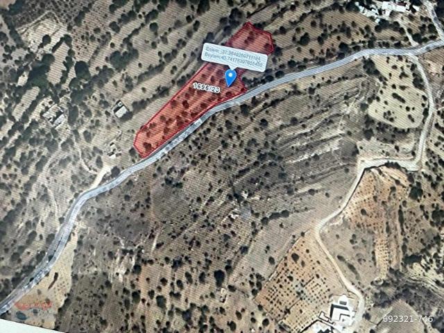 Mardin içerisinde satılık Arsa