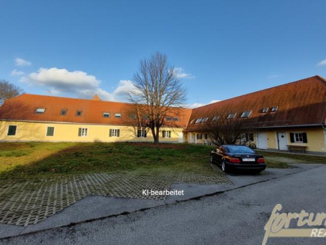 Mehrfamilienhaus kaufen in Burgau, Steiermark