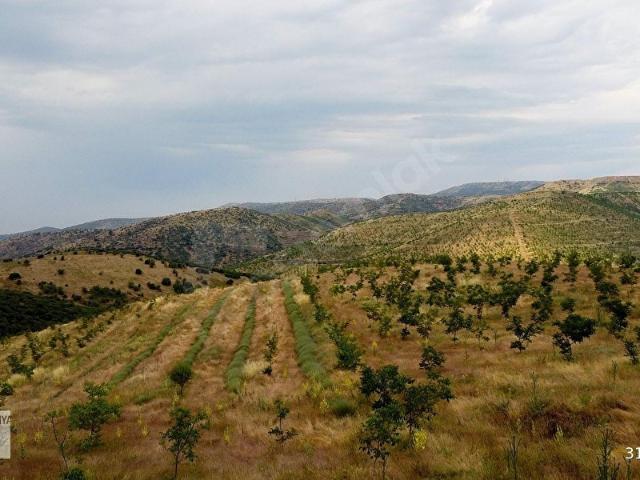 Salihli, Manisa içerisinde satılık Arsa