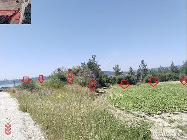 Memişli, Çukurova içerisinde satılık Arsa