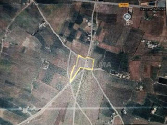 Propriété vente à El Ma, Gharb-Chrarda-Beni Hssen