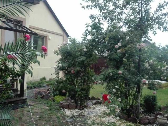 Дом аренда в Винницкой области