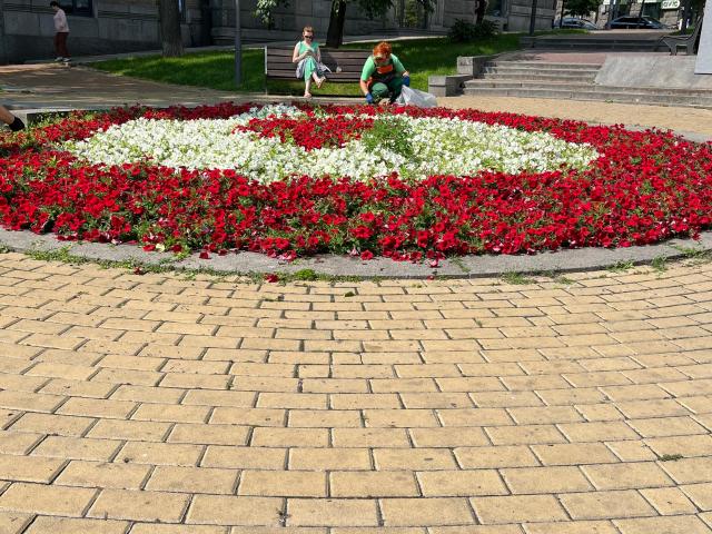 Дом аренда в Романкове