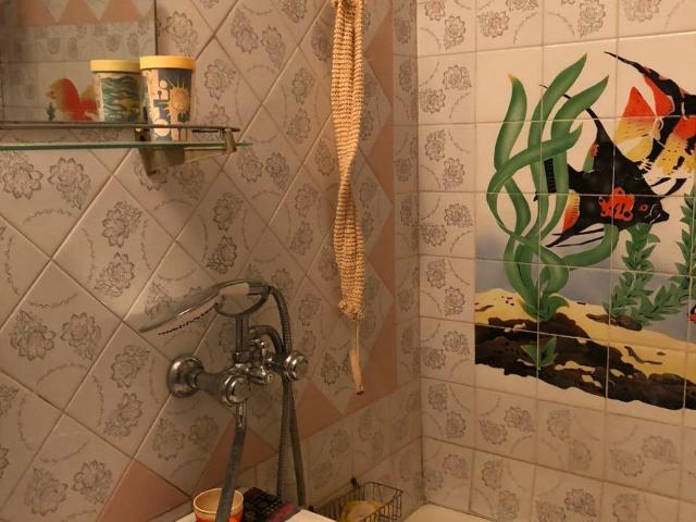 Квартира аренда в ДНС, Фурсах