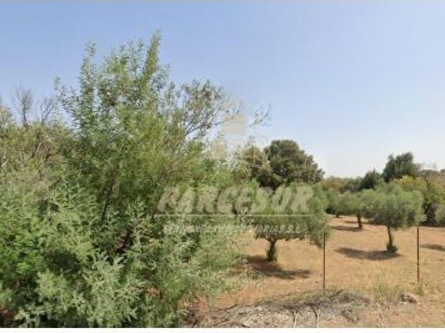 Local Comercial en venta en Doña Rama, Belmez