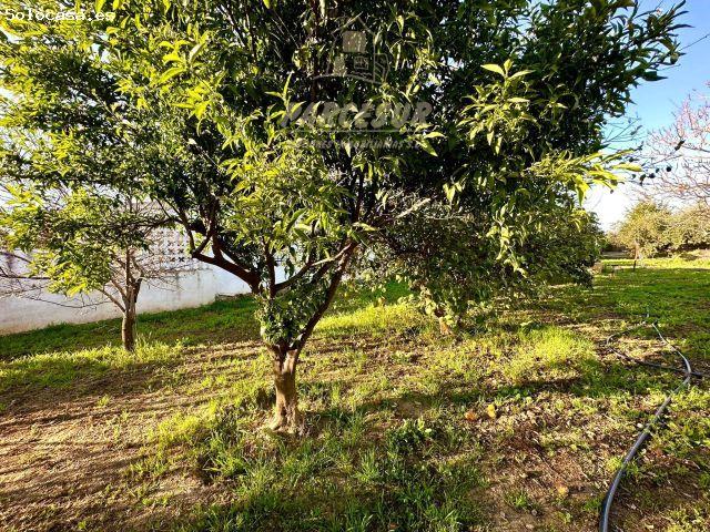 Casa en venta en Llanos del Castillo, Córdoba